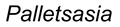 Palletsasia